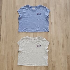 Lot Of 2 Champion Womens Y2K Classic T-Shirts Crop Tops Blue And Gray Size XL